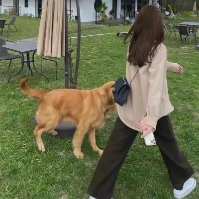 林来疯
